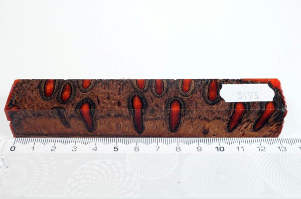 Banksiazapfen in Kunstharz - Orange - 13 cm