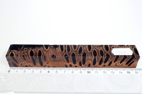 Banksiazapfen in Kunstharz - Schwarz - 16 cm