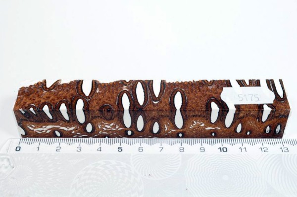 Banksiazapfen in Kunstharz - Weiß - 13 cm