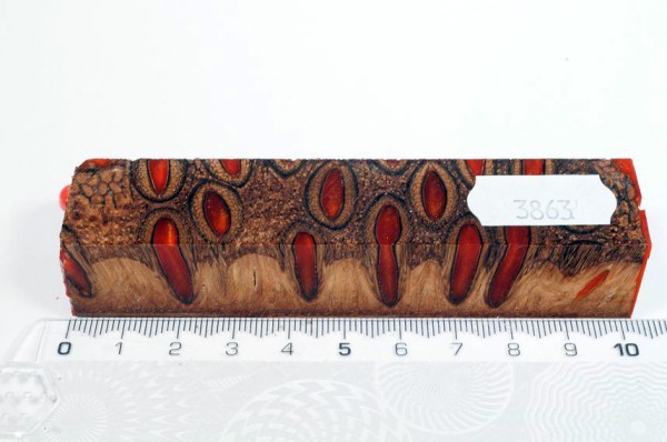 Banksiazapfen in Kunstharz - Orange - 10 cm