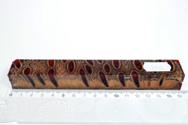 Banksiazapfen in Kunstharz - Rot - 16 cm