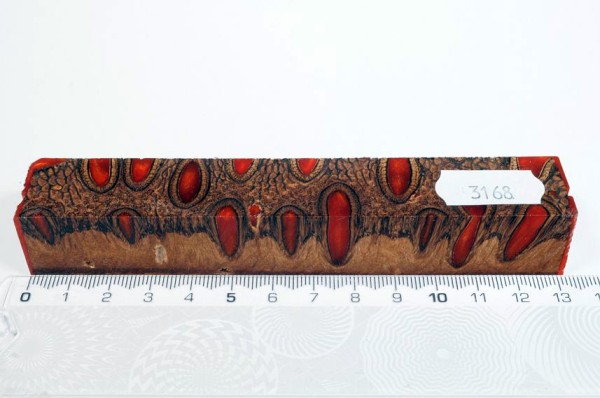 Banksiazapfen in Kunstharz - Orange - 13 cm