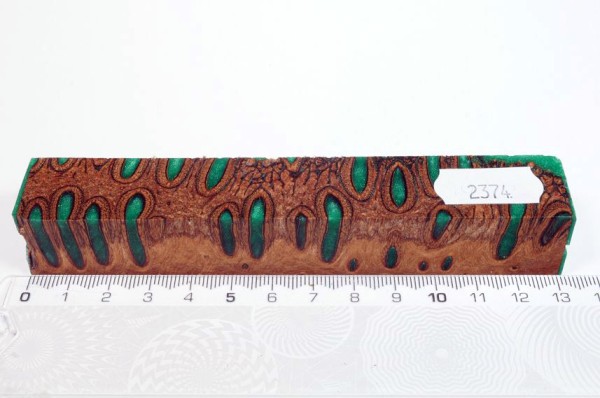 Banksiazapfen in Kunstharz - Grün - 13 cm