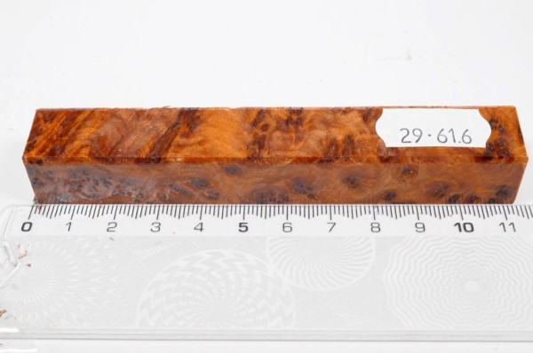 Thuja Maser - Pen Blank