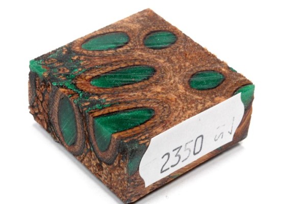 Banksiazapfen in Kunstharz für Ringe