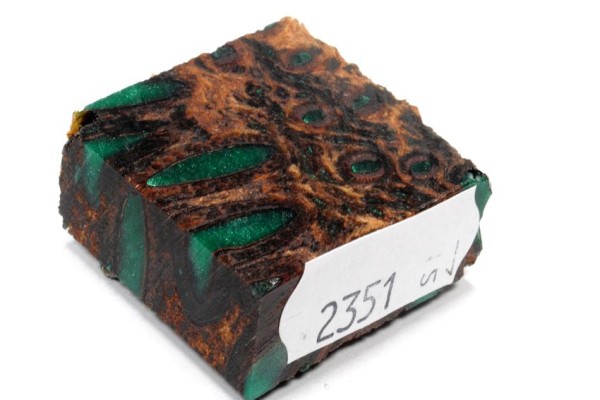 Banksiazapfen in Kunstharz für Ringe