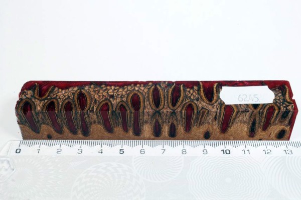 Banksiazapfen in Kunstharz - Rot - 13 cm