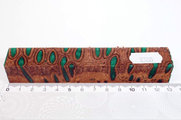 Banksiazapfen in Kunstharz - Grün - 13 cm