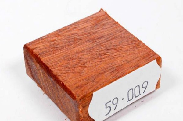 Ring Blank aus Holz - Quina