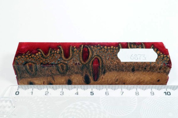 Banksiazapfen in Kunstharz - Rot - 10 cm