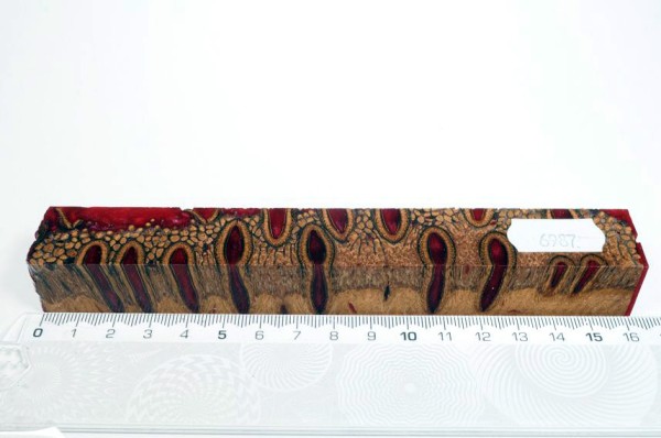 Banksiazapfen in Kunstharz - Rot - 16 cm