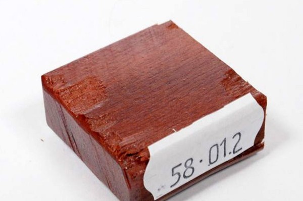 Ring Blank aus Holz - Zapote