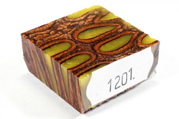 Banksiazapfen in Kunstharz für Ringe