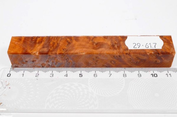 Thuja Maser - Pen Blank