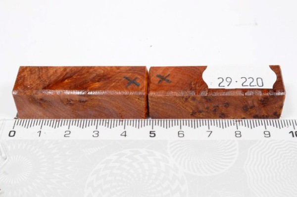 Thuja Maser - Pen Blank