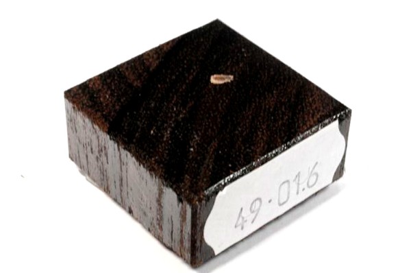 Ring Blank aus Holz - Ziricote