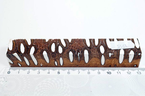 Banksiazapfen in Kunstharz - Weiß - 13 cm