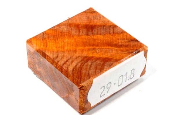 Ring Blank aus Holz - Thuja Maser