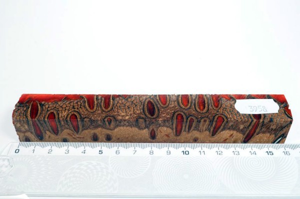 Banksiazapfen in Kunstharz - Orange - 16 cm