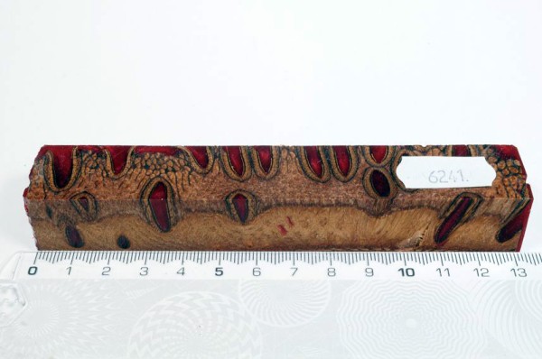 Banksiazapfen in Kunstharz - Rot - 13 cm