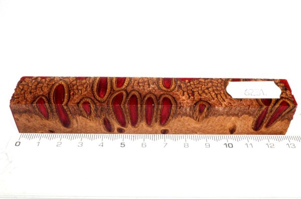 Banksiazapfen in Kunstharz