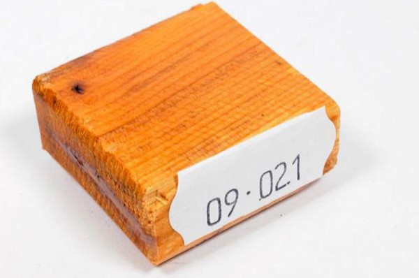 Ring Blank aus Holz - Eibe