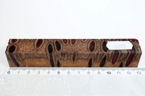 Banksiazapfen in Kunstharz - Rot - 13 cm