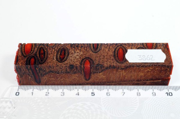Banksiazapfen in Kunstharz - Orange - 10 cm
