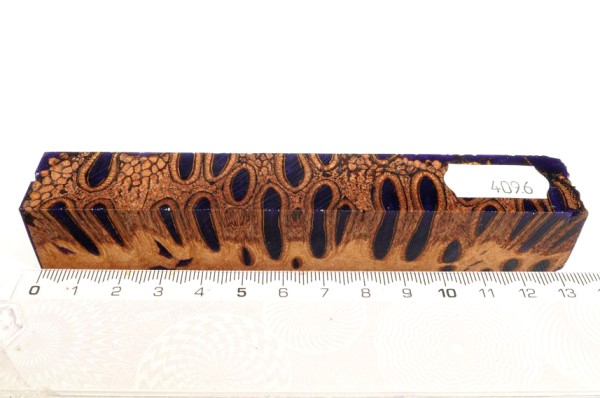 Banksiazapfen in Kunstharz