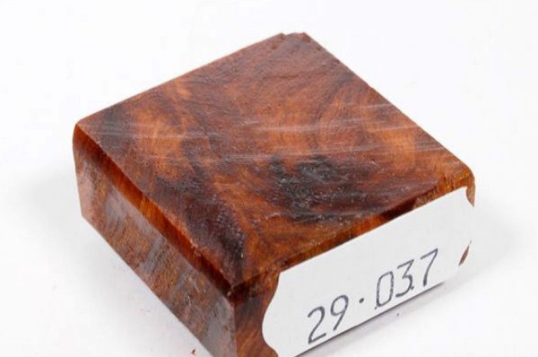 Ring Blank aus Holz - Thuja Maser