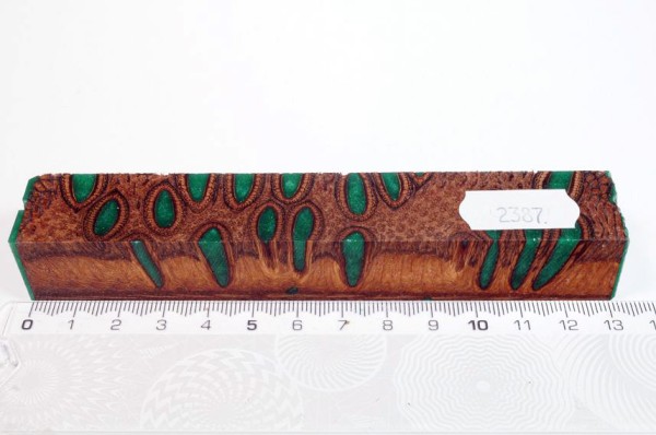 Banksiazapfen in Kunstharz - Grün - 13 cm