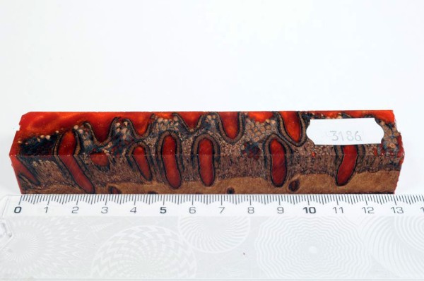 Banksiazapfen in Kunstharz - Orange - 13 cm