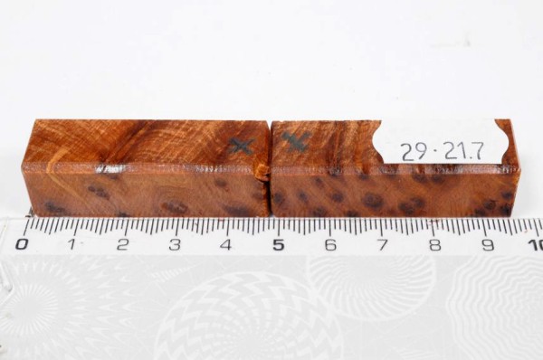 Thuja Maser - Pen Blank