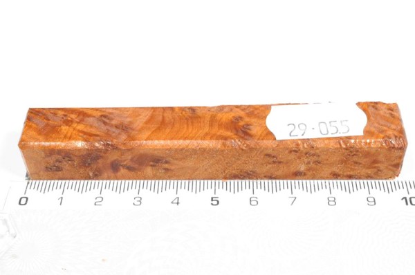 Thuja Maser - Pen Blank