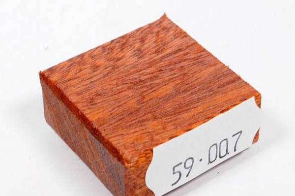Ring Blank aus Holz - Quina