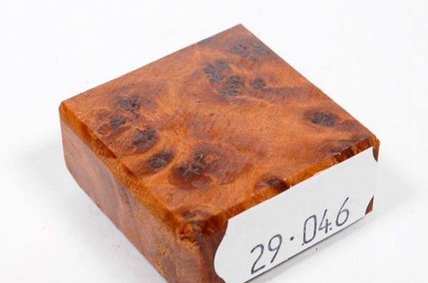 Ring Blank aus Holz - Thuja Maser