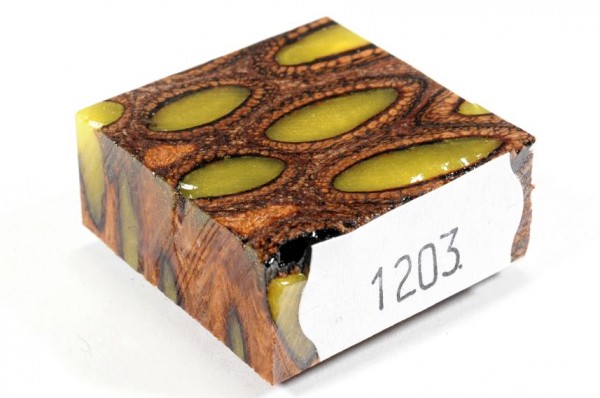 Banksiazapfen in Kunstharz für Ringe