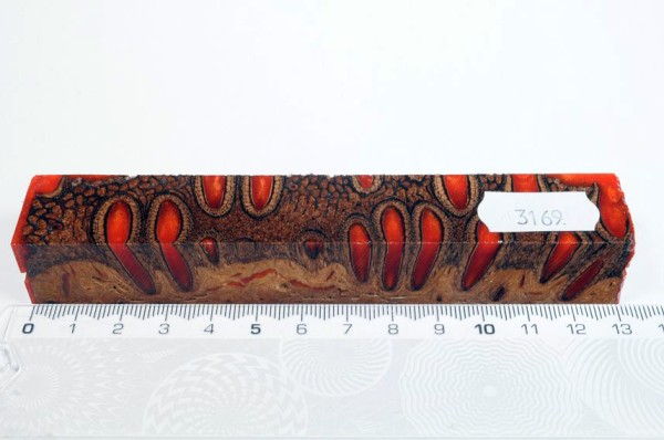 Banksiazapfen in Kunstharz - Orange - 13 cm