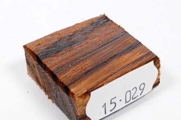 Ring Blank aus Holz - Zebrano