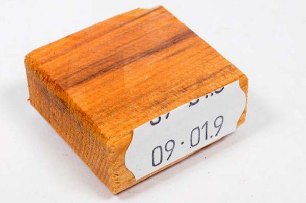 Ring Blank aus Holz - Eibe