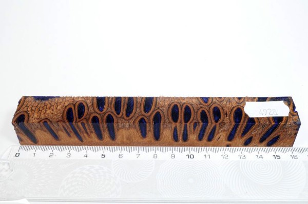 Banksiazapfen in Kunstharz - Lila - 16 cm