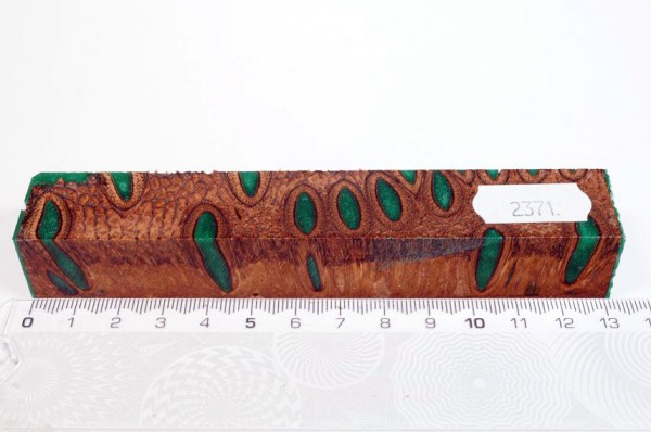 Banksiazapfen in Kunstharz - Grün - 13 cm