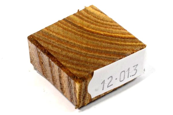 Ring Blank aus Holz - Essigbaum