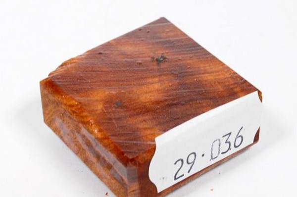 Ring Blank aus Holz - Thuja Maser