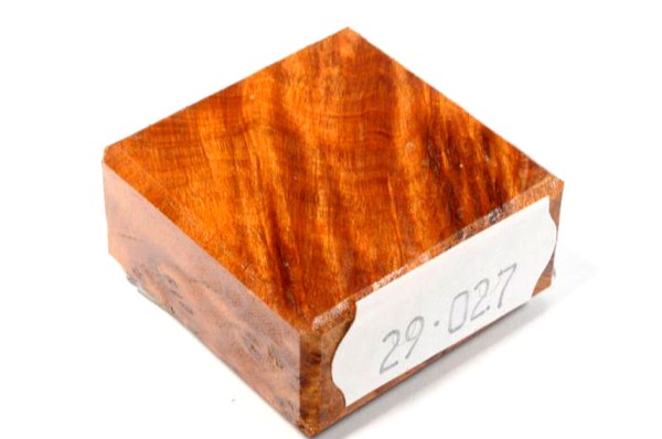 Ring Blank aus Holz - Thuja Maser