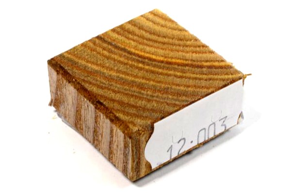 Ring Blank aus Holz - Essigbaum