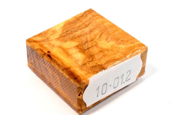 Ring Blank aus Holz - Esche Maser