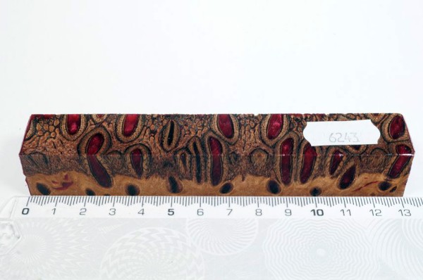 Banksiazapfen in Kunstharz - Rot - 13 cm