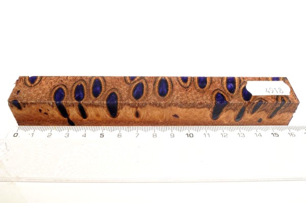 Banksiazapfen in Kunstharz