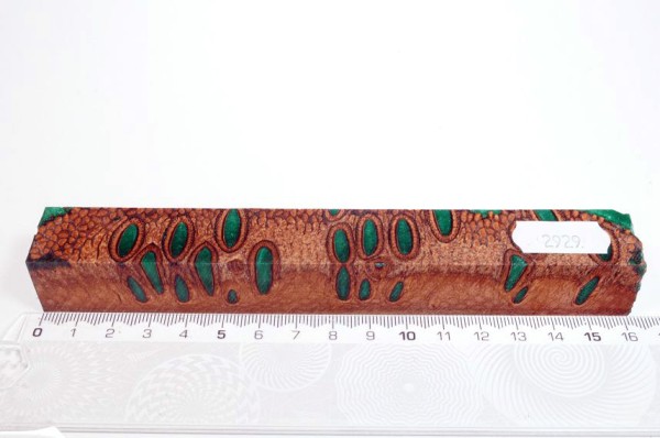 Banksiazapfen in Kunstharz - Grün - 16 cm